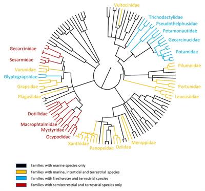 To the Land and Beyond: Crab Microbiomes as a Paradigm for the Evolution of Terrestrialization